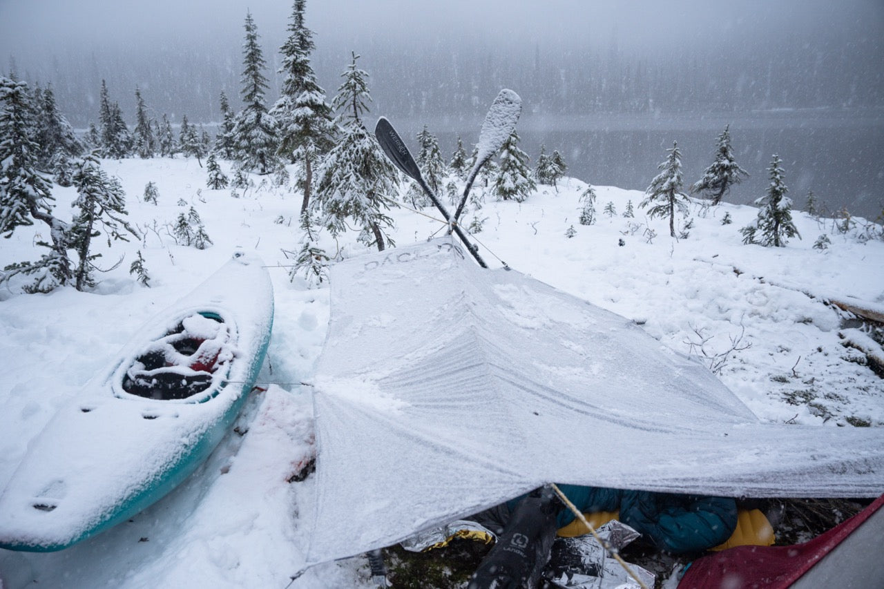 TARP_4_PT_-_Grande_34b9834c-bad5-4431-8200-a57ca744f900.jpg