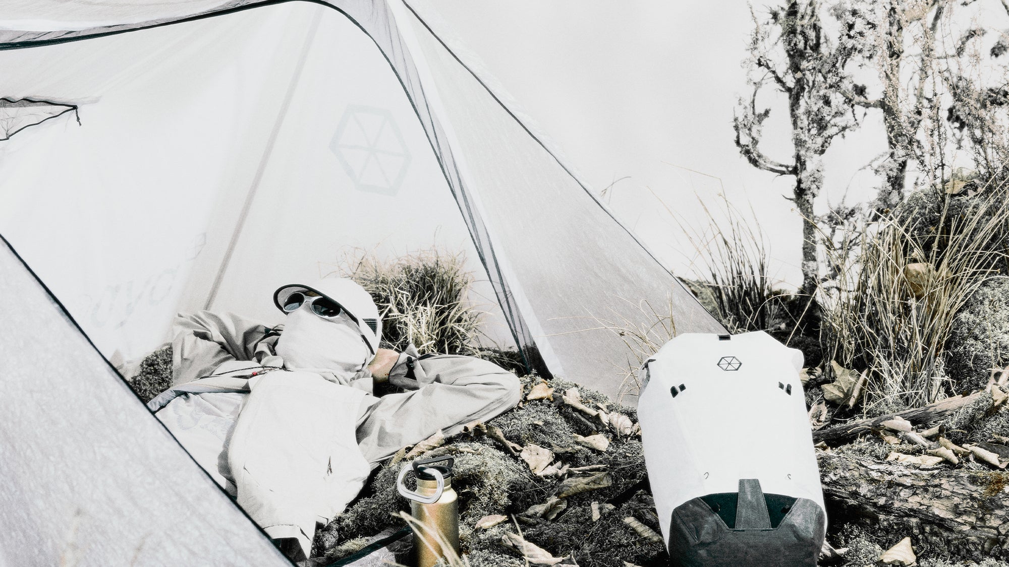 banner-pulse-1.jpg